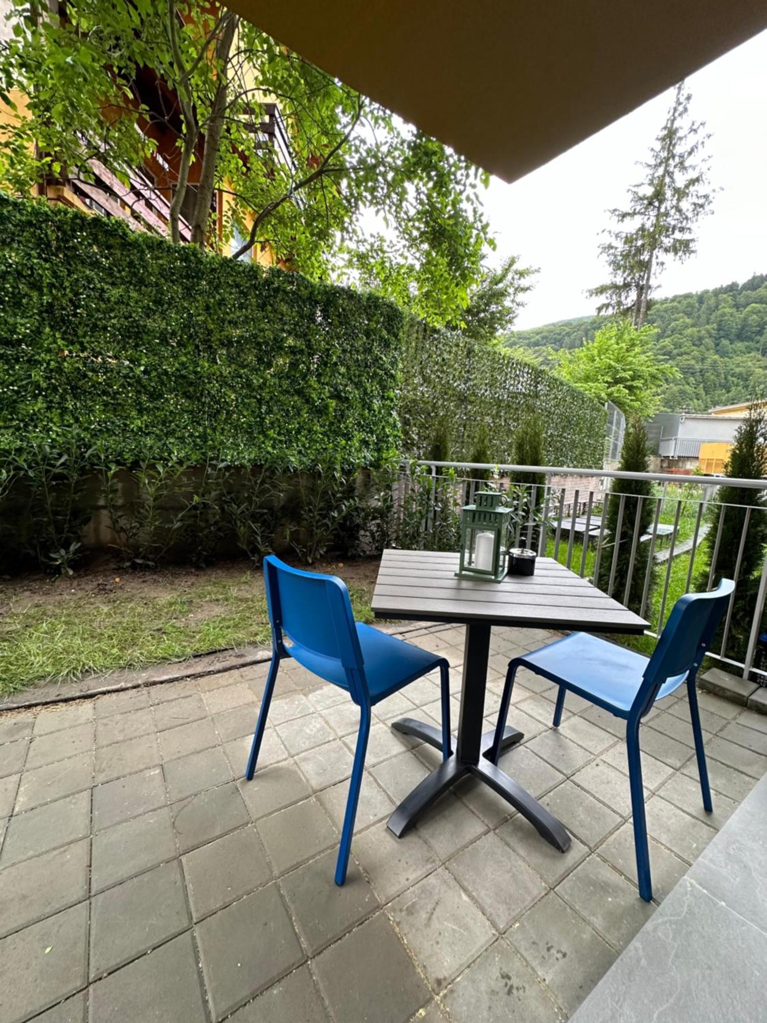 Cozy Garden Apartment Сіная Екстер'єр фото